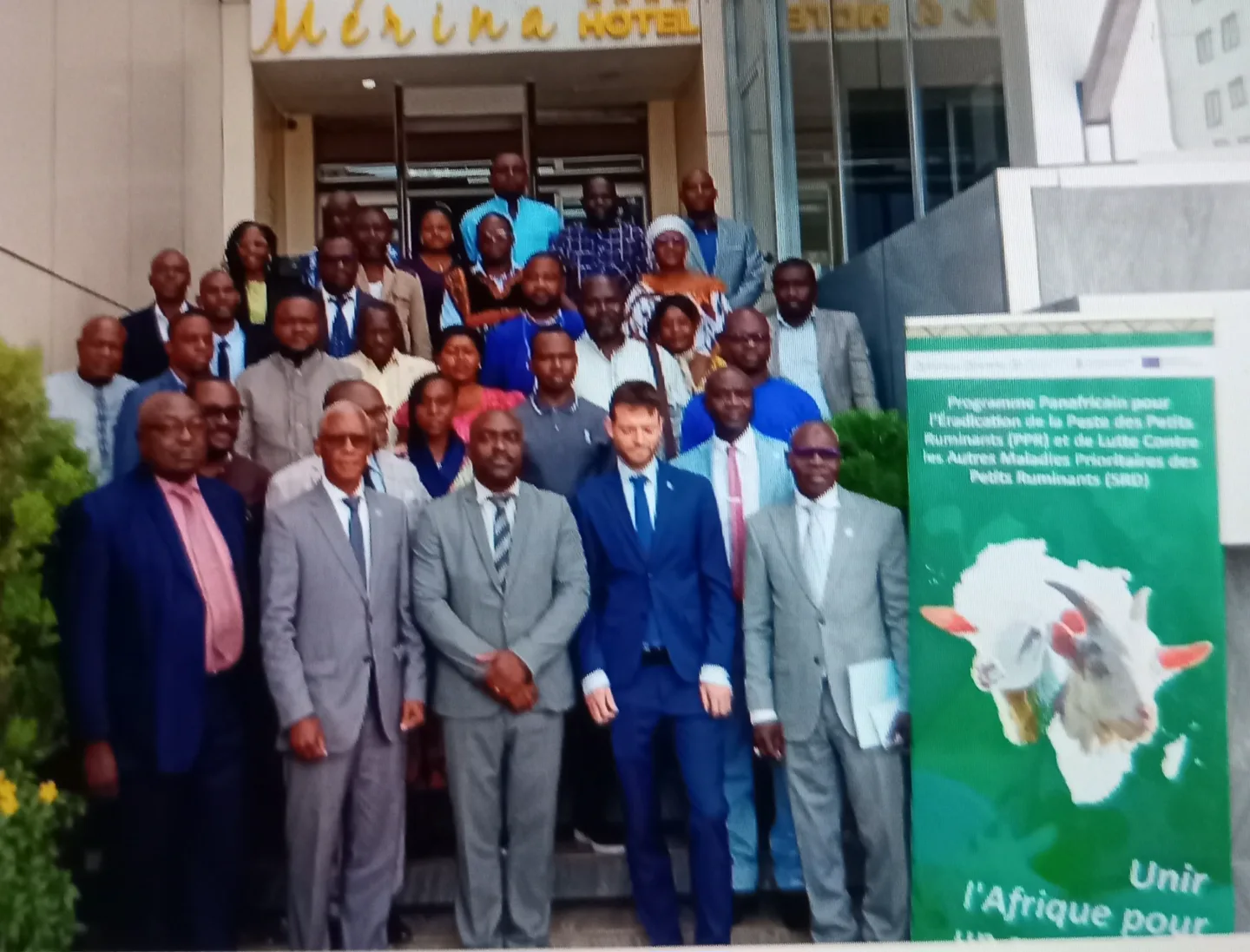 ​Santé animale en zone CEEAC : Un front commun contre la Peste des Petits Ruminants à Yaoundé