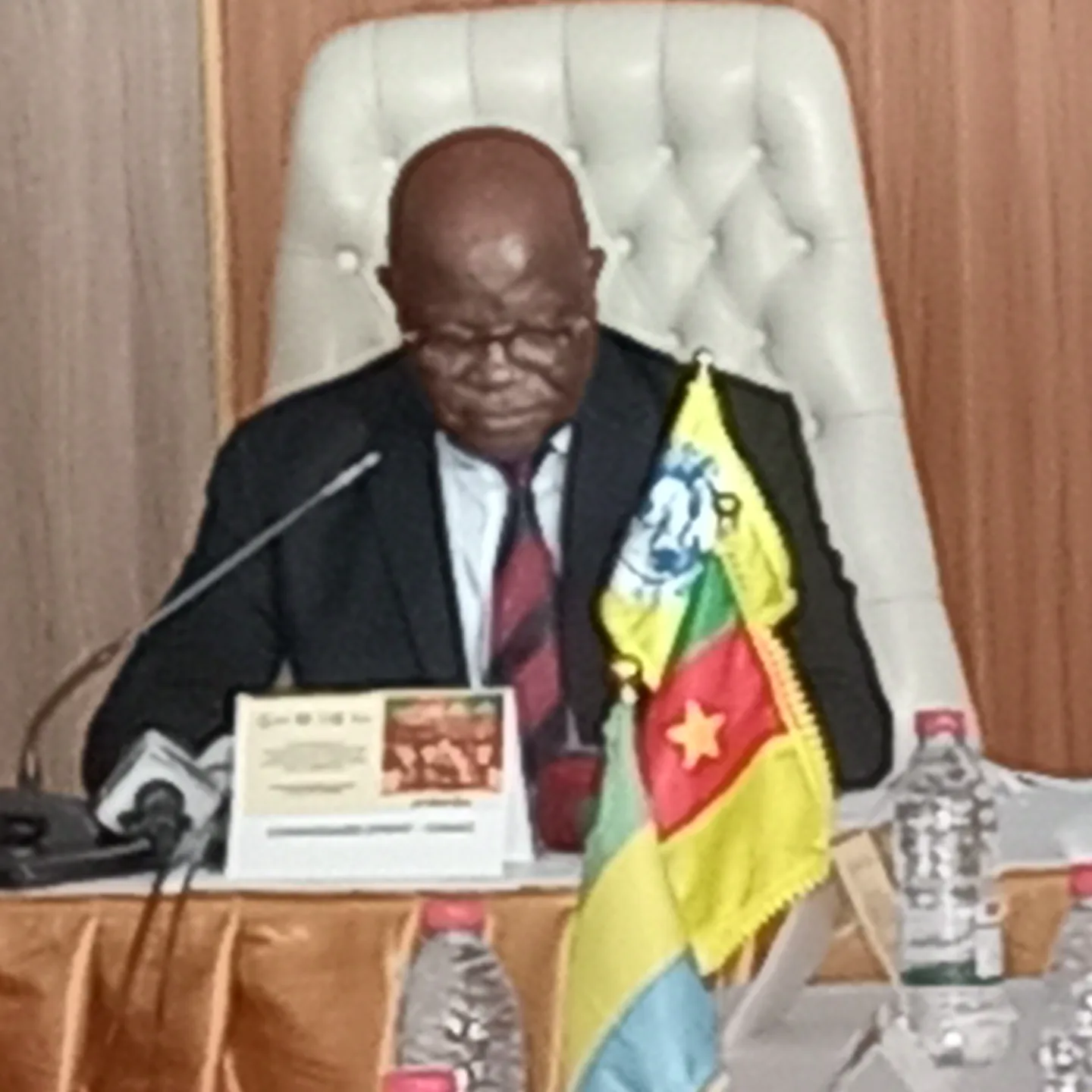 Statistiques régionales : La CEMAC valide son guide harmonisé pour les recensements de la population