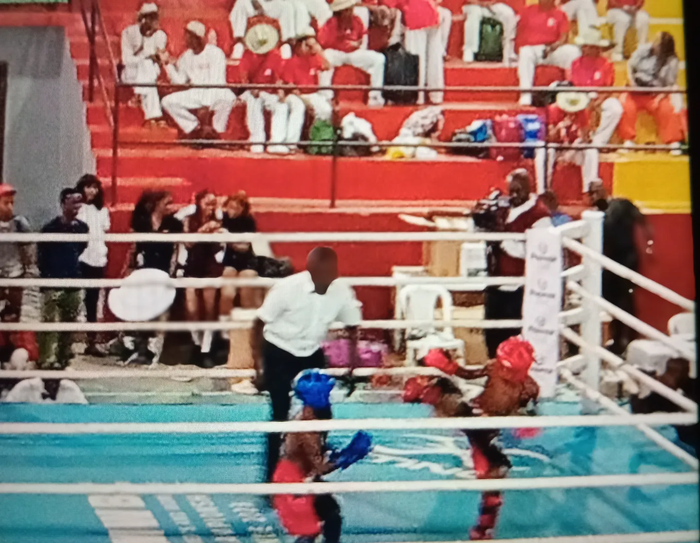 Yaoundé, Capitale Africaine du Kick-boxing : Les Championnats d’Afrique battent leur plein