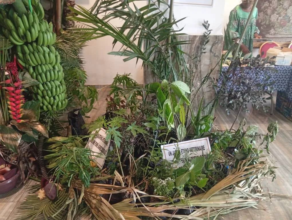 Le Cameroun prône l'agroécologie dans le bassin du Congo pour allier protection de la biodiversité et souveraineté alimentaire face aux défis démographiques.