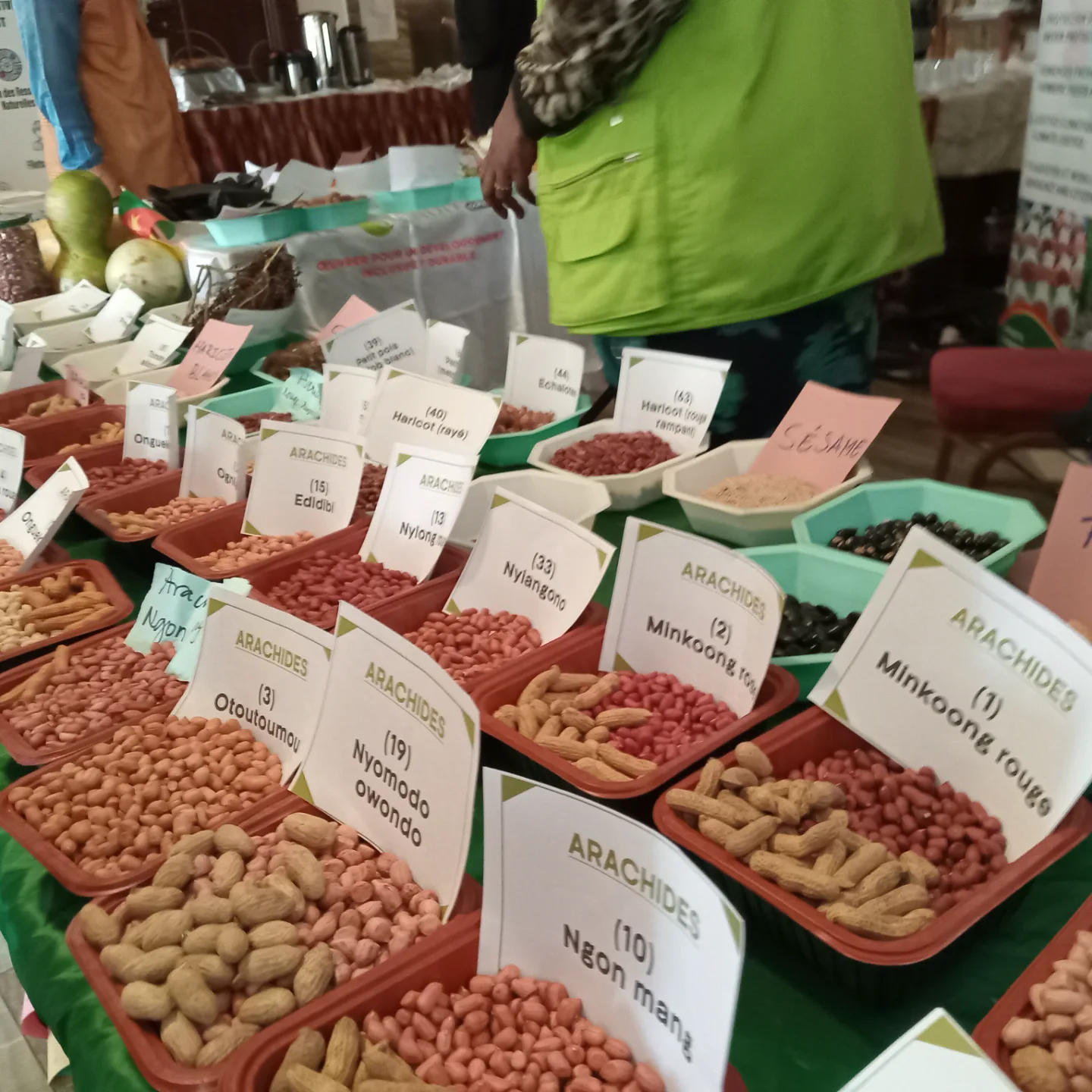 Le Cameroun prône l'agroécologie dans le bassin du Congo pour allier protection de la biodiversité et souveraineté alimentaire face aux défis démographiques.