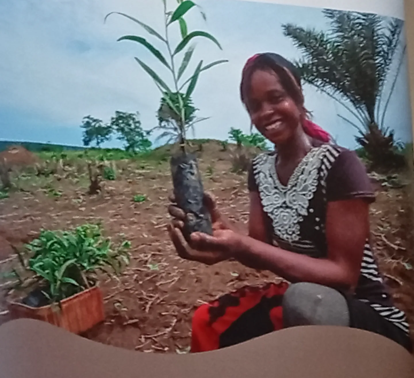 Cameroon: Boosting Climate Resilience in the Greater North Through a New FAO and GEF Landscape Restoration Project
